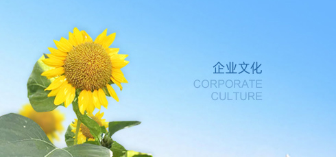 企業文化